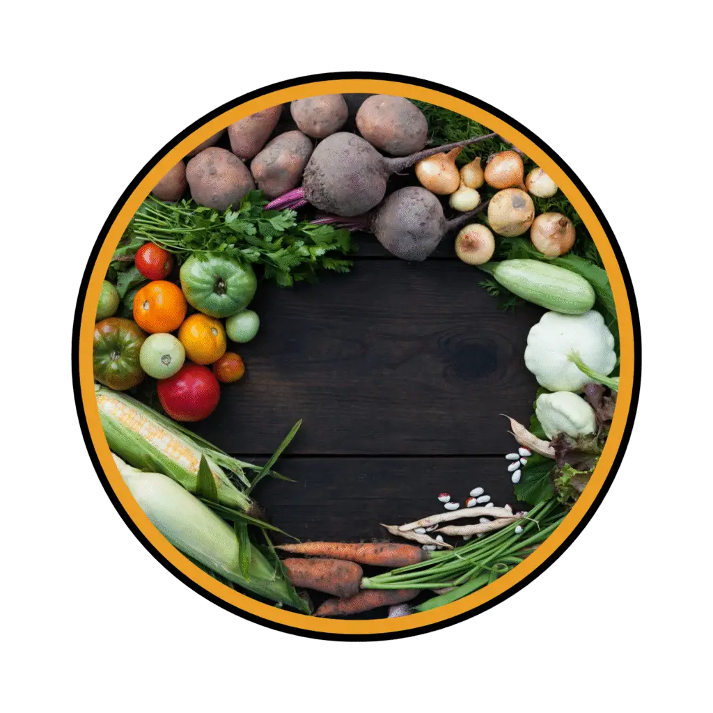 SHIVRA sustainability and circular systems integration consulting for hospitality and F&B businesses in the UAE, India, and Canada.